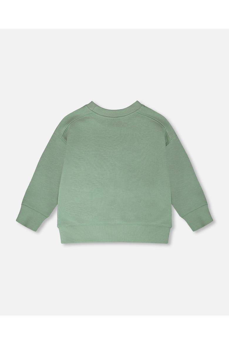 Long Sleeve Graphic Mountain French Terry Sweatshirt, Alternate, color, Light Green