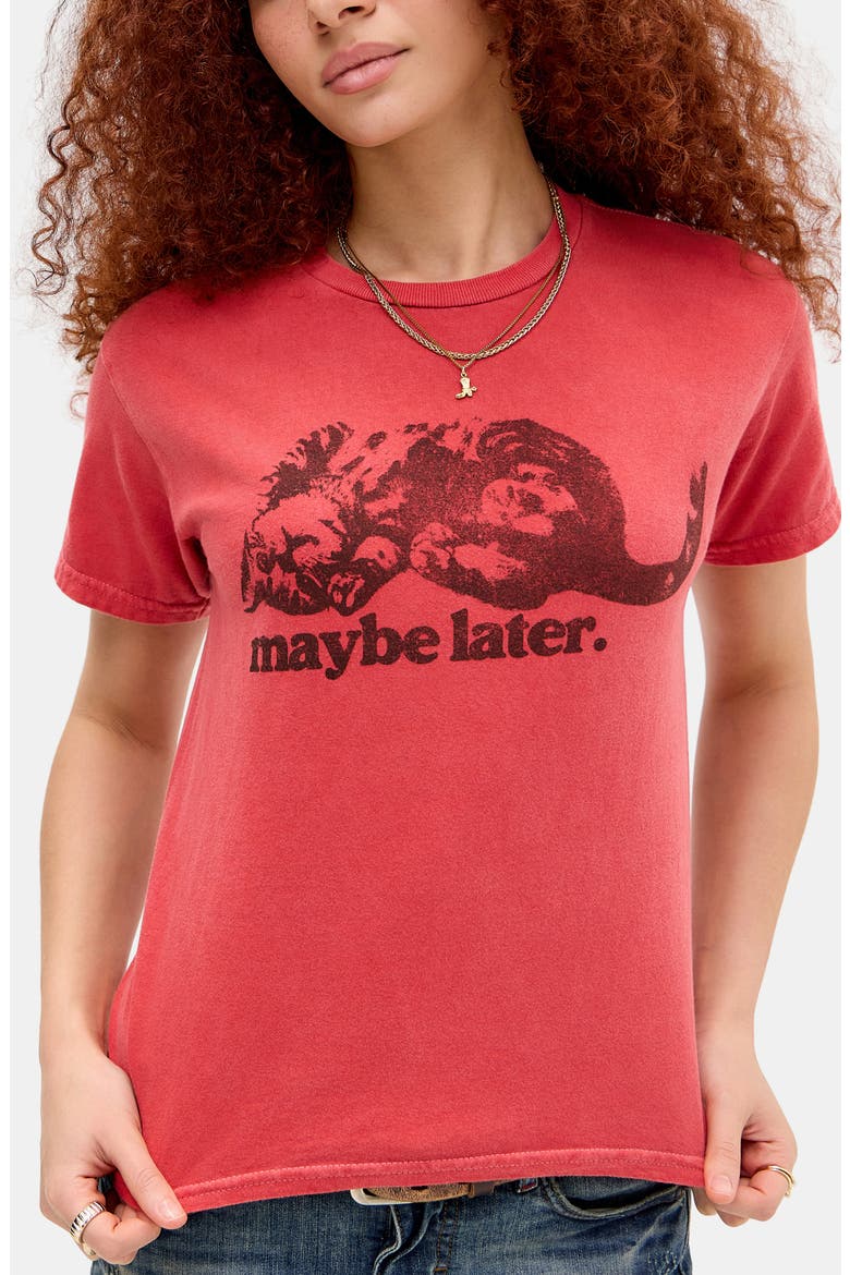 Maybe Later Cat Graphic T-Shirt, Main, color, RED