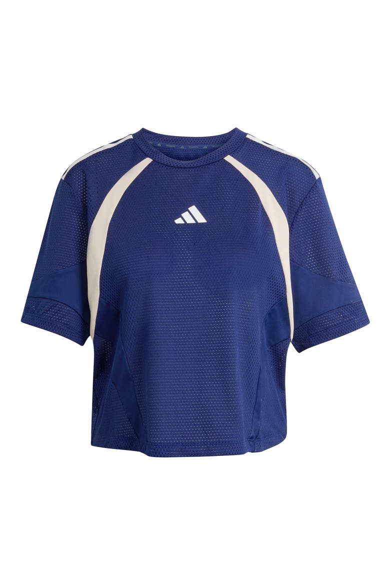 Mesh Short Sleeve T-Shirt, Alternate, color, DARK BLUE