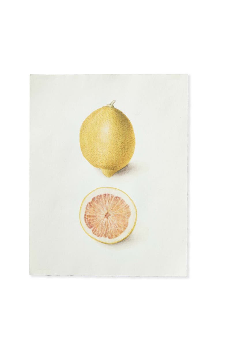 tag Lemon Deckled Edge Print Wall Art - Colorful Home Decor, Main, color, Multicolored