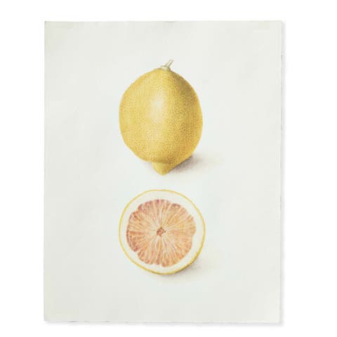 Lemon Deckled Edge Print Wall Art - Colorful Home Decor
