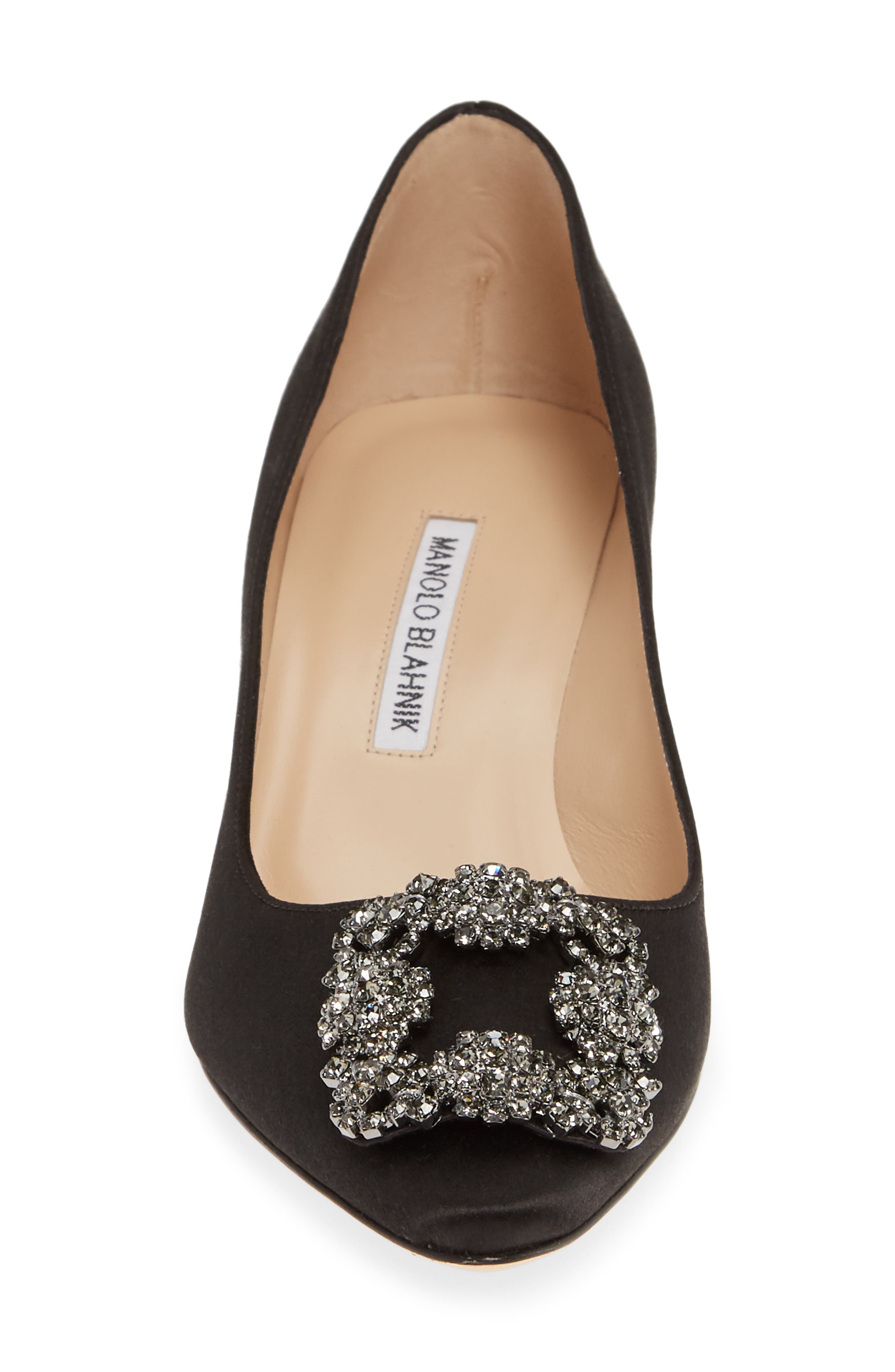 Manolo Blahnik Hangisi Embellished Pointed Toe Pump, Alternate, color, 