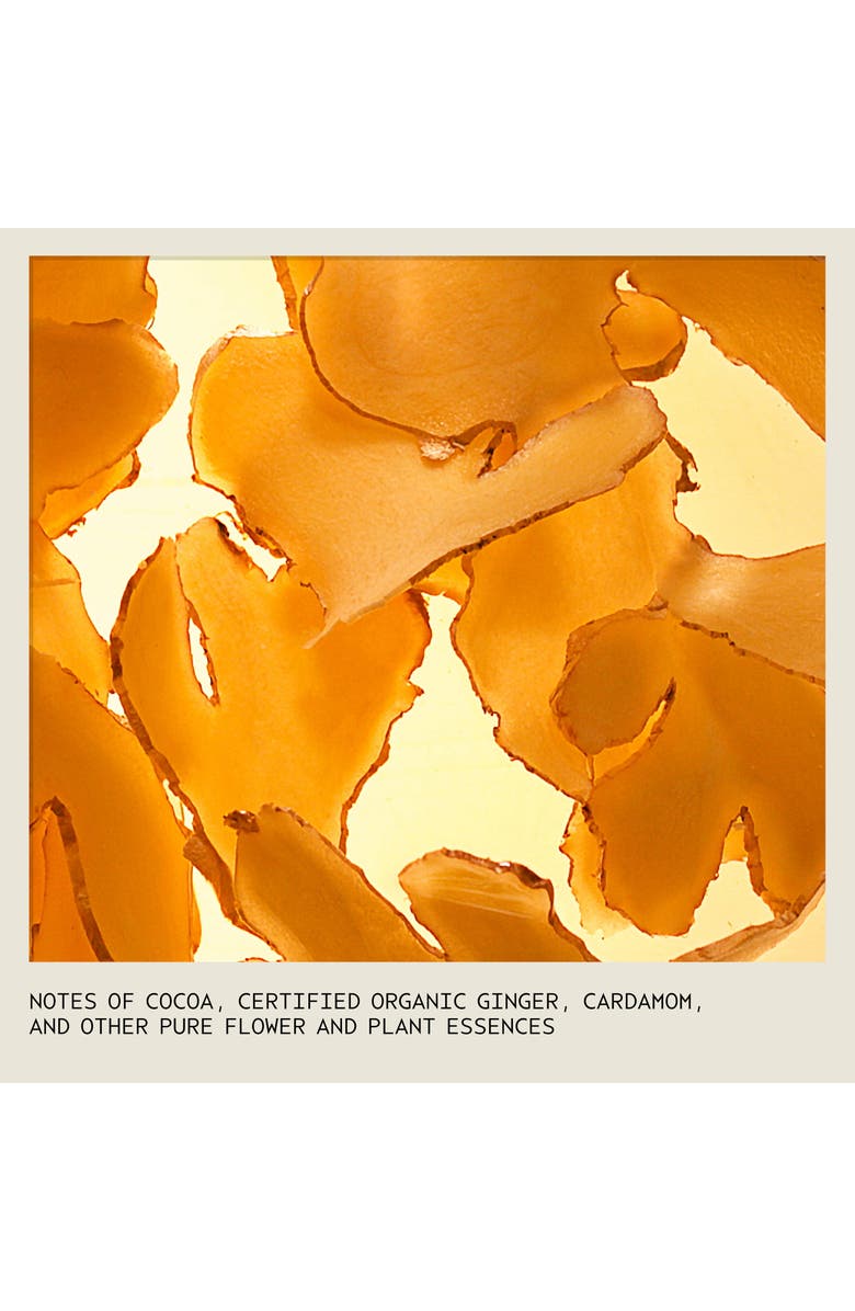 Aveda nutriplenish<sup>™</sup> Deep Moisture Conditioner, Alternate, color, 