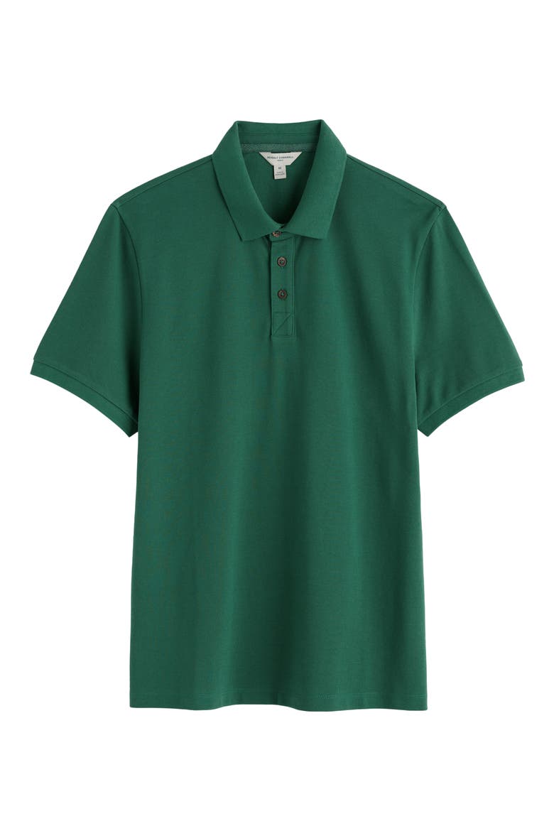 Balefire Polo, Alternate, color, RUSCUS LEAF