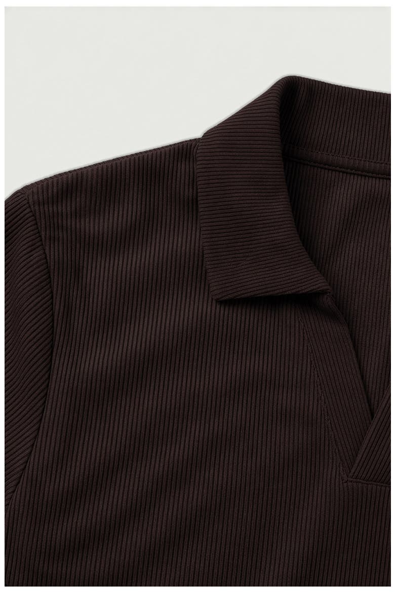 Ribbed Jonny Collar Polo, Alternate, color, CHOCOLATE