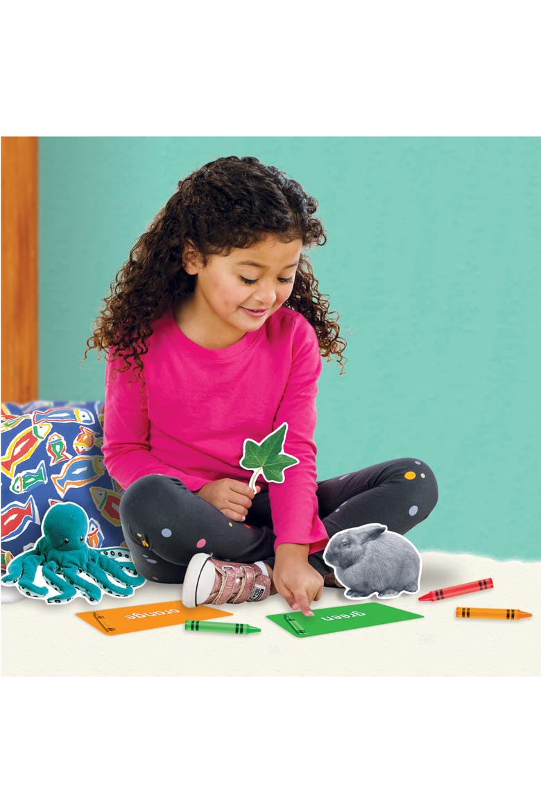 TREND Colors All Around Us Learning Set, Alternate, color, Multicolored