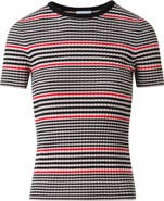 Akris punto Stripe Short Sleeve Virgin Wool Rib Sweater