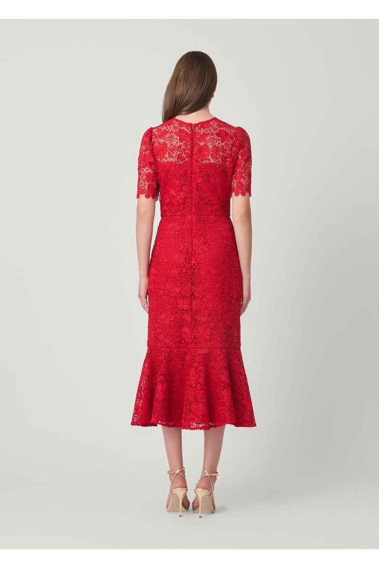 Darcy Savile Row Lace Dress, Alternate, color, Cherry