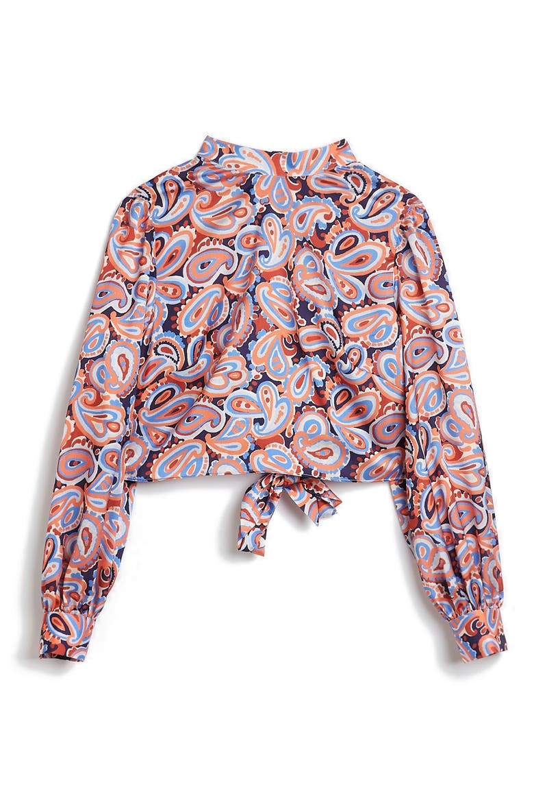 Tie Back Long Sleeve Crop Top, Alternate, color, ORANGE