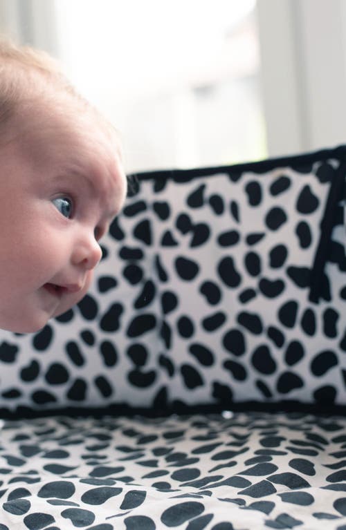 Etta Loves Animal Print Sensory Strip In Animal Print Mixed
