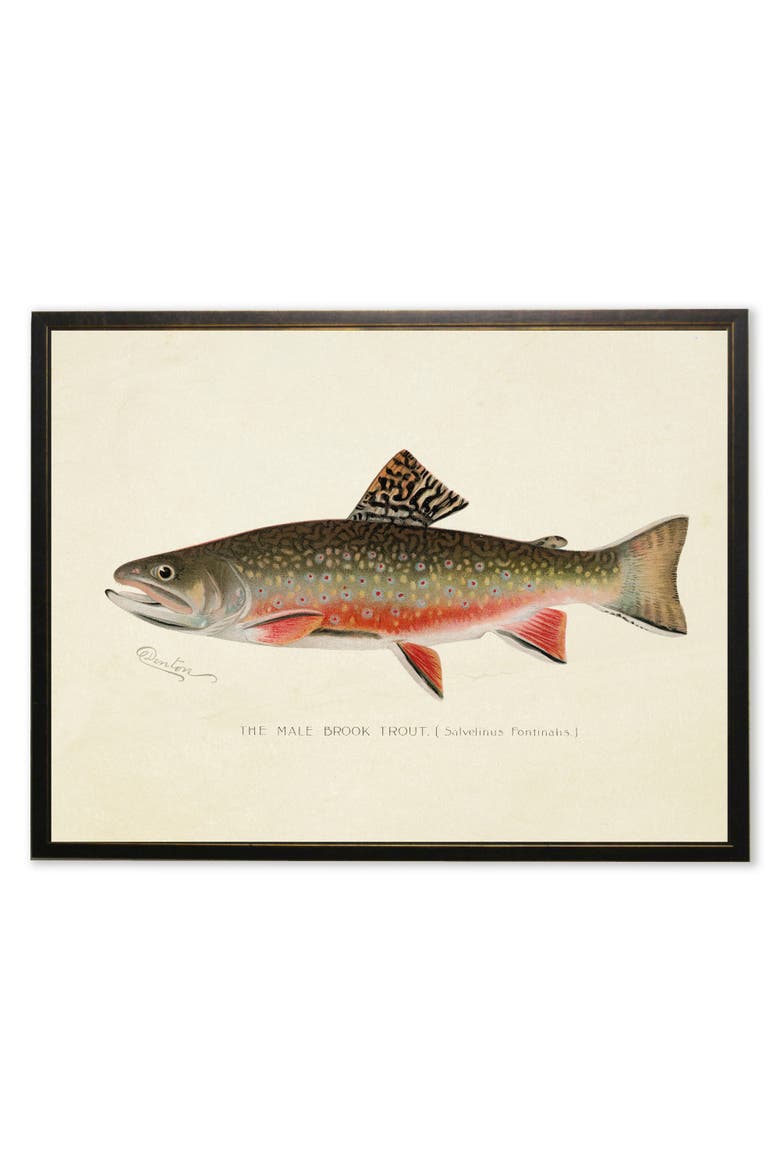 Male Brook Trout Print in Copper and Black Frame, Main, color, Multi