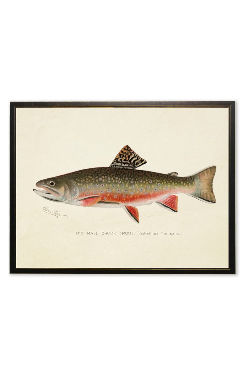 Antique Curiosities Male Brook Trout Print in Copper and Black Frame, Main, color, Multi