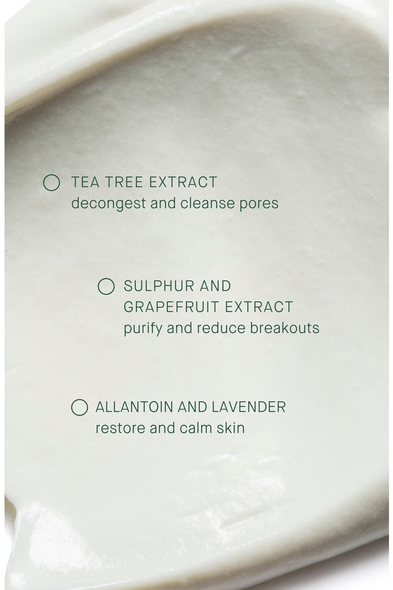 Tea Tree Mask, Alternate, color, NO COLOR