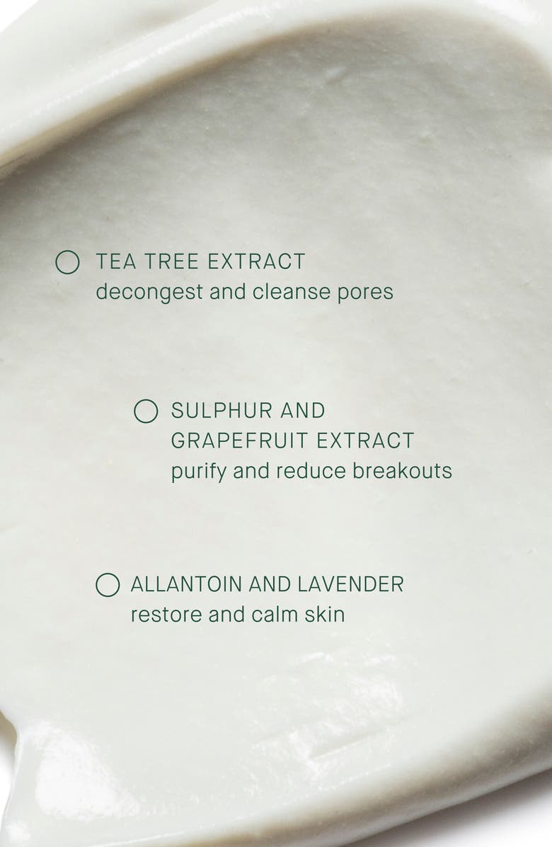 ARCONA Tea Tree Mask, Alternate, color, 