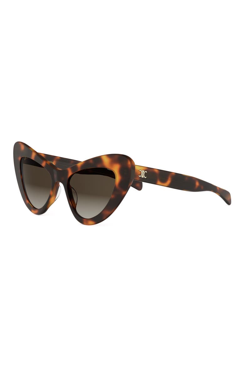 Triomphe 55mm Cat-Eye Sunglasses, Alternate, color, BLNDHAV/BRNG