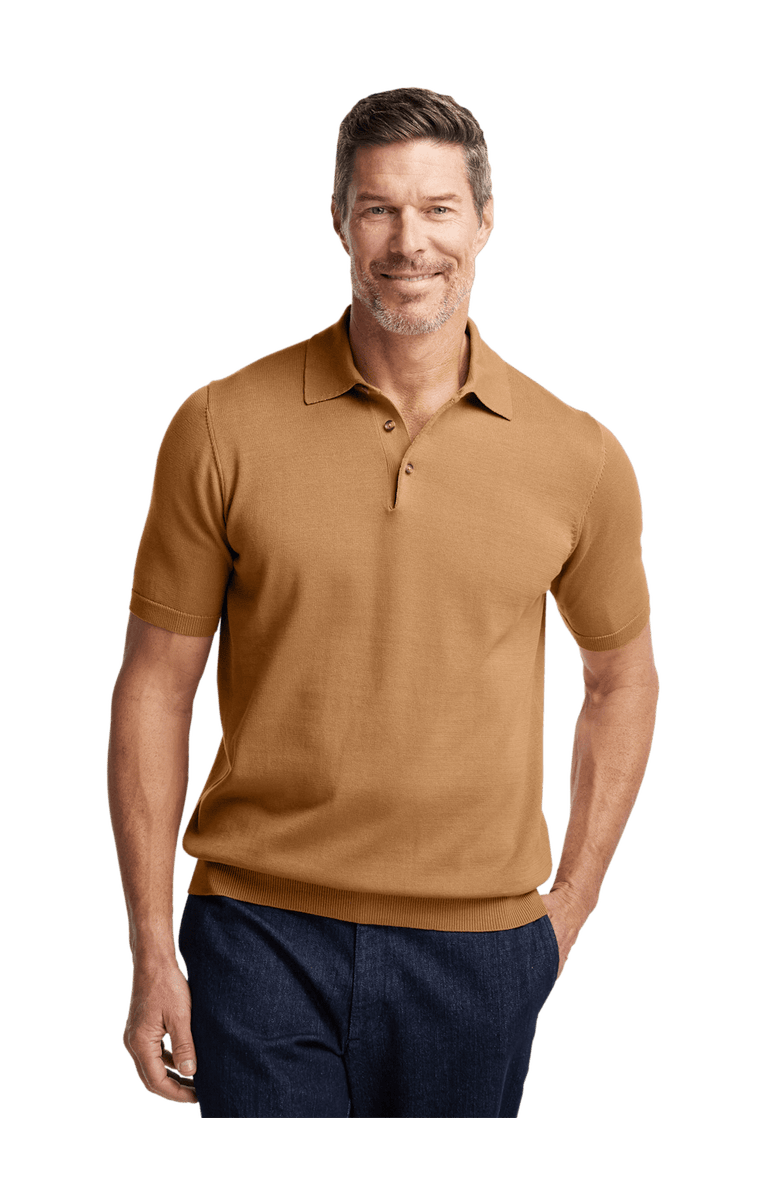 Paul Fredrick Supima Cotton Three Button Polo, Alternate, color, Light Brown