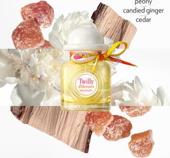 Twilly d'Hermès Eau Ginger 50ml Amazon.com : Hermes Twilly DHermes Eau Ginger EDP Spray