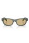  Transparent Fog / Light Brown