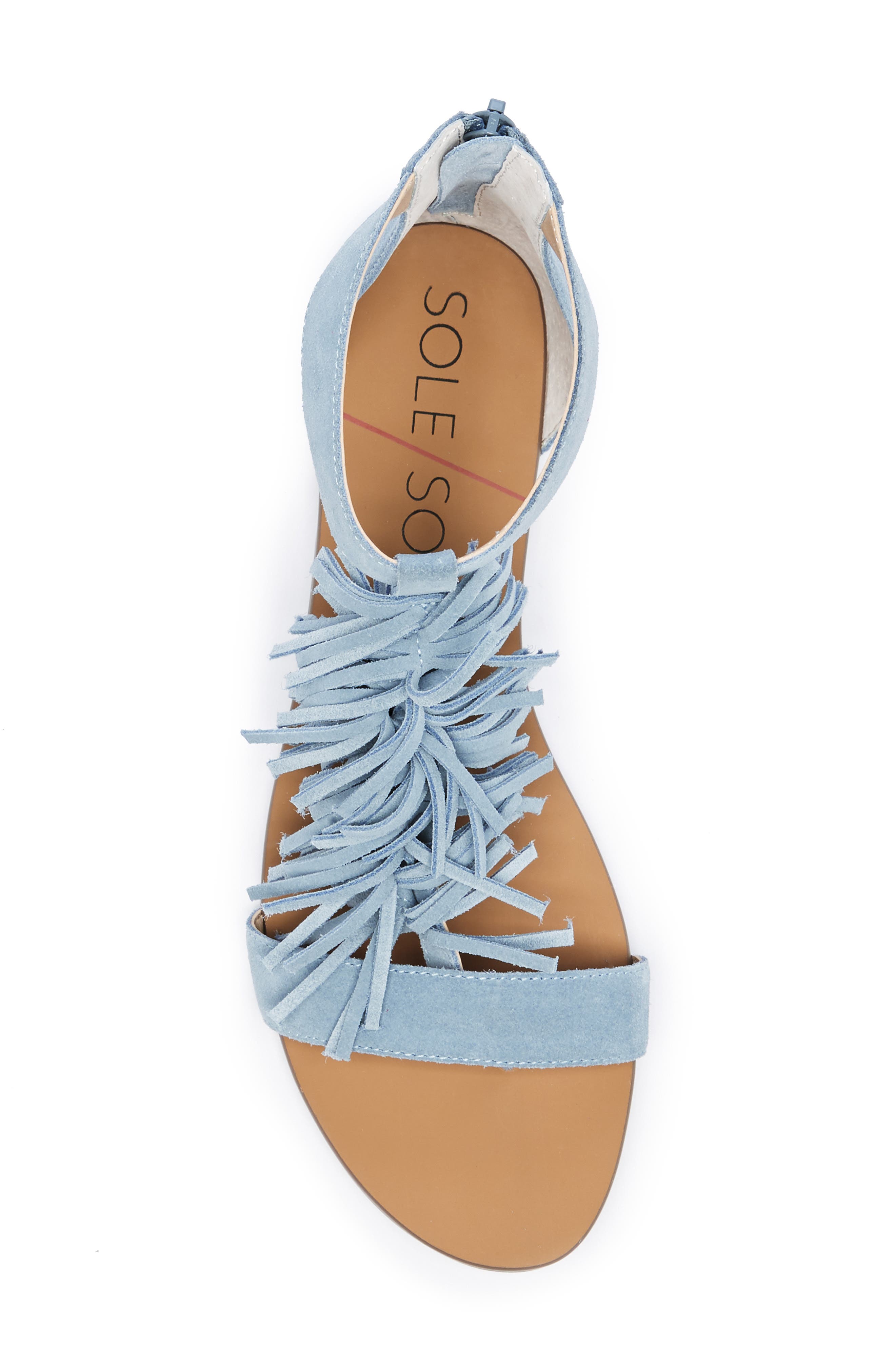 Koa Fringed T-Strap Sandal, Alternate, color, POWDER BLUE SUEDE