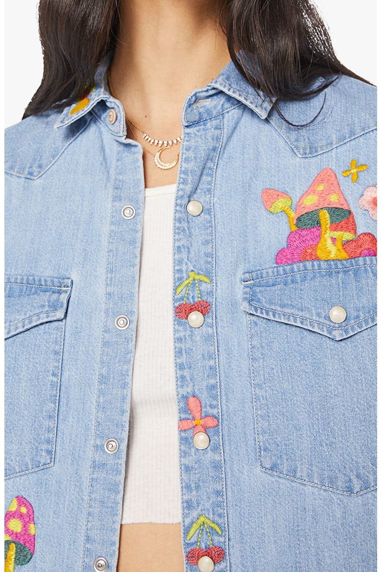 The Honey Embroidered Denim Snap-Up Shirt, Alternate, color, CANT FIND MY CLASSHROOM