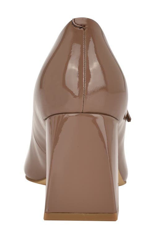 Calvin Klein Naprina Pointed Toe Mary Jane Pump In Brown