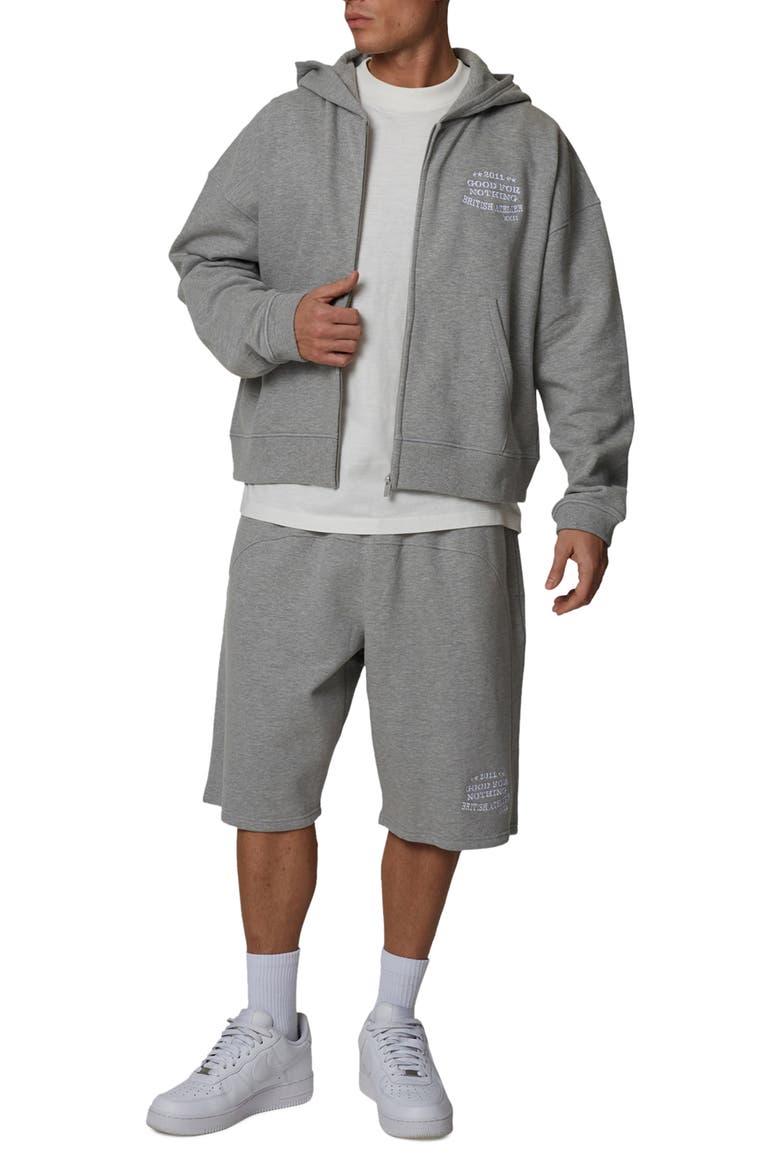 Boxy-Fit Zipped Icarus Hoodie, Alternate, color, Grey
