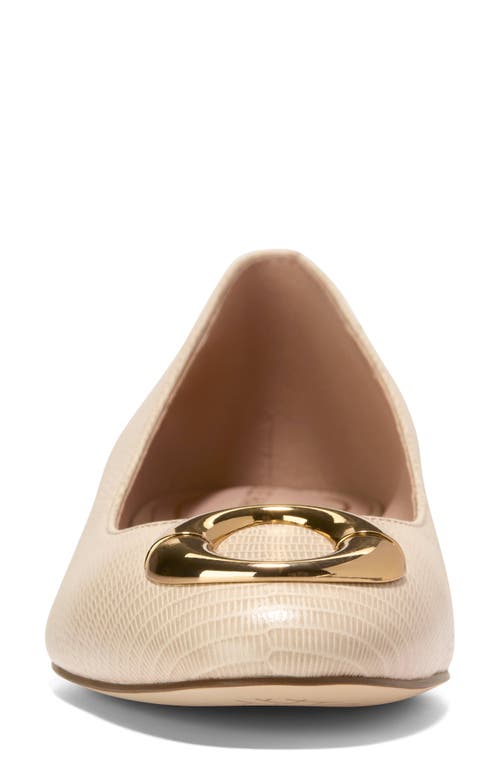 Cole Haan Skylar Ballet Flat