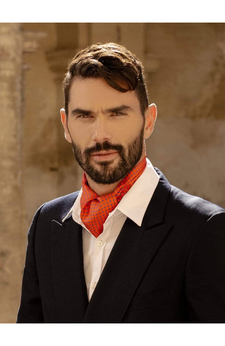 Elizabetta Lecco - Silk Ascot Cravat Tie for Men, Alternate, color, 