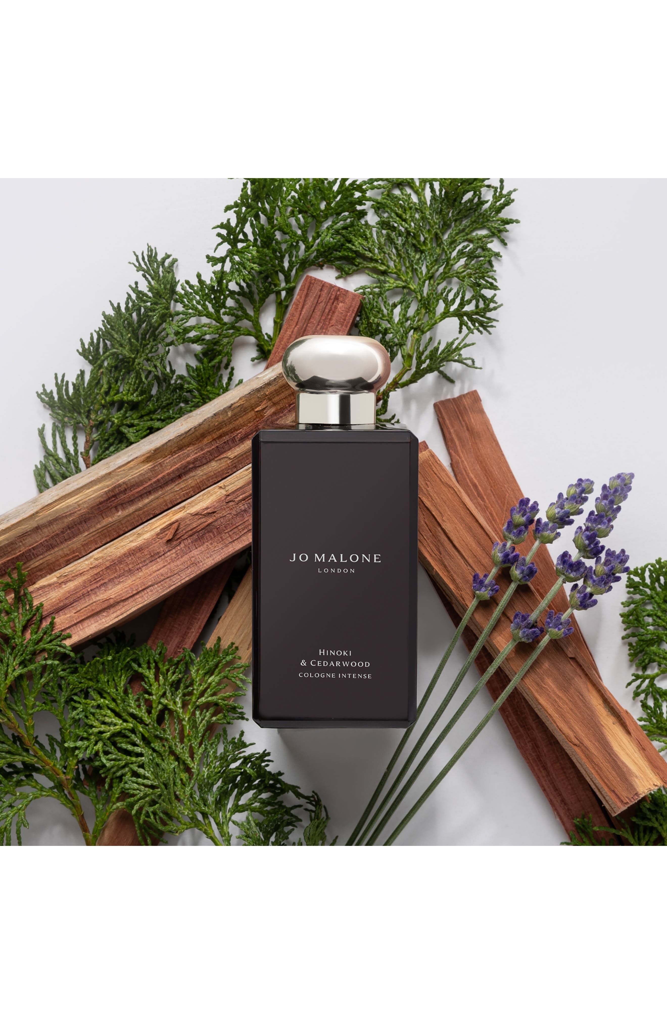 Hinoki & Cedarwood Cologne Intense | Nordstrom