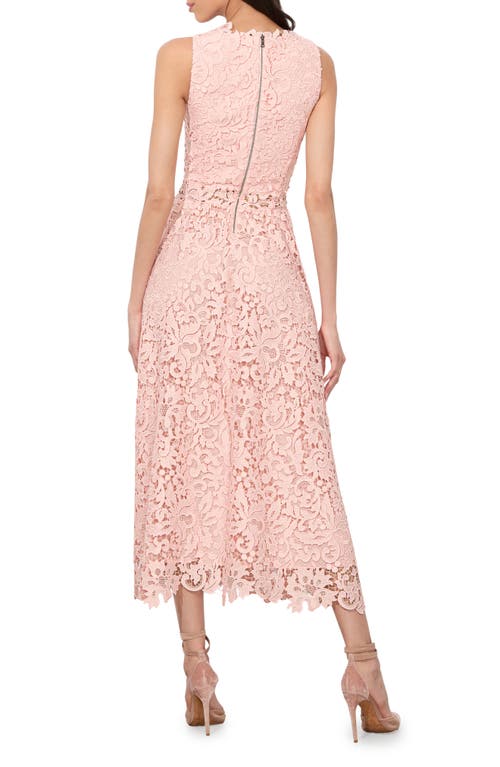 Alice And Olivia Alice + Olivia Babette Sleeveless Lace Midi Dress In Pink