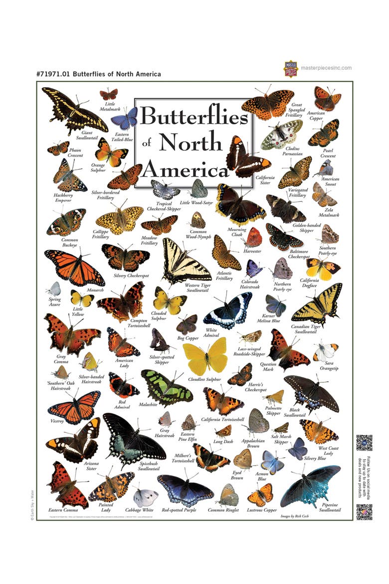 Butterflies 1000 Piece Jigsaw Puzzle, Alternate, color, Multicolor