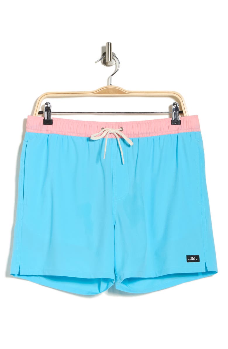 O'Neill Hermosa Volley Swim Trunks, Main, color, Aquarius