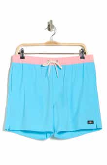 O'Neill Hermosa Volley Swim Trunks