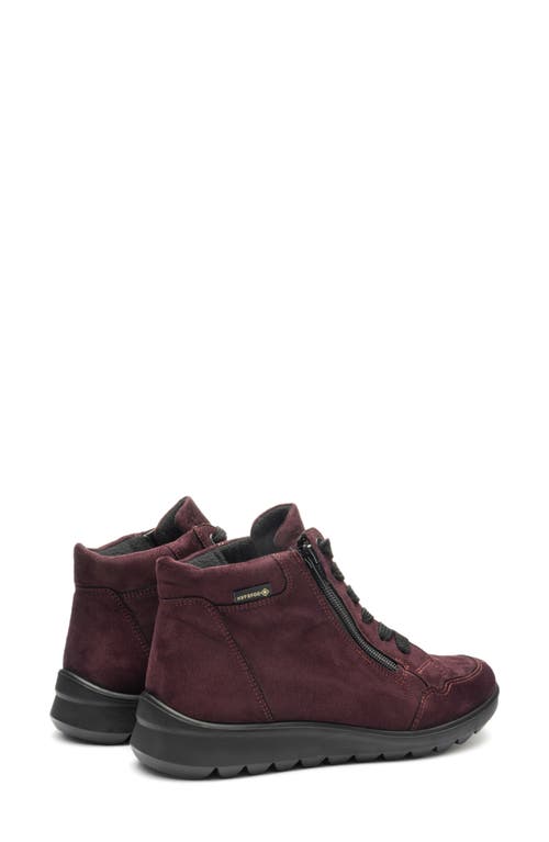 Ara Thistle Gore-tex® Waterproof Bootie In Burgundy