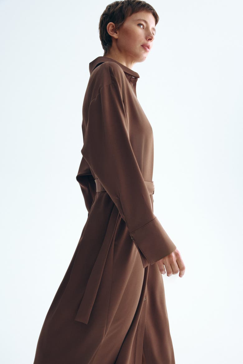 Belted Shirt Dress, Alternate, color, Brown