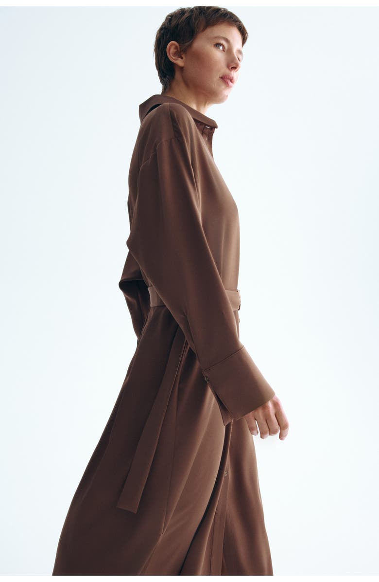 H&M Belted Shirt Dress, Alternate, color, Brown
