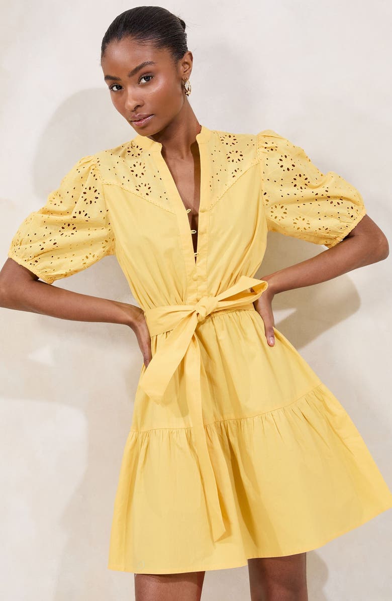 Lipsy Broderie Belted Minidress, Alternate, color, Yellow