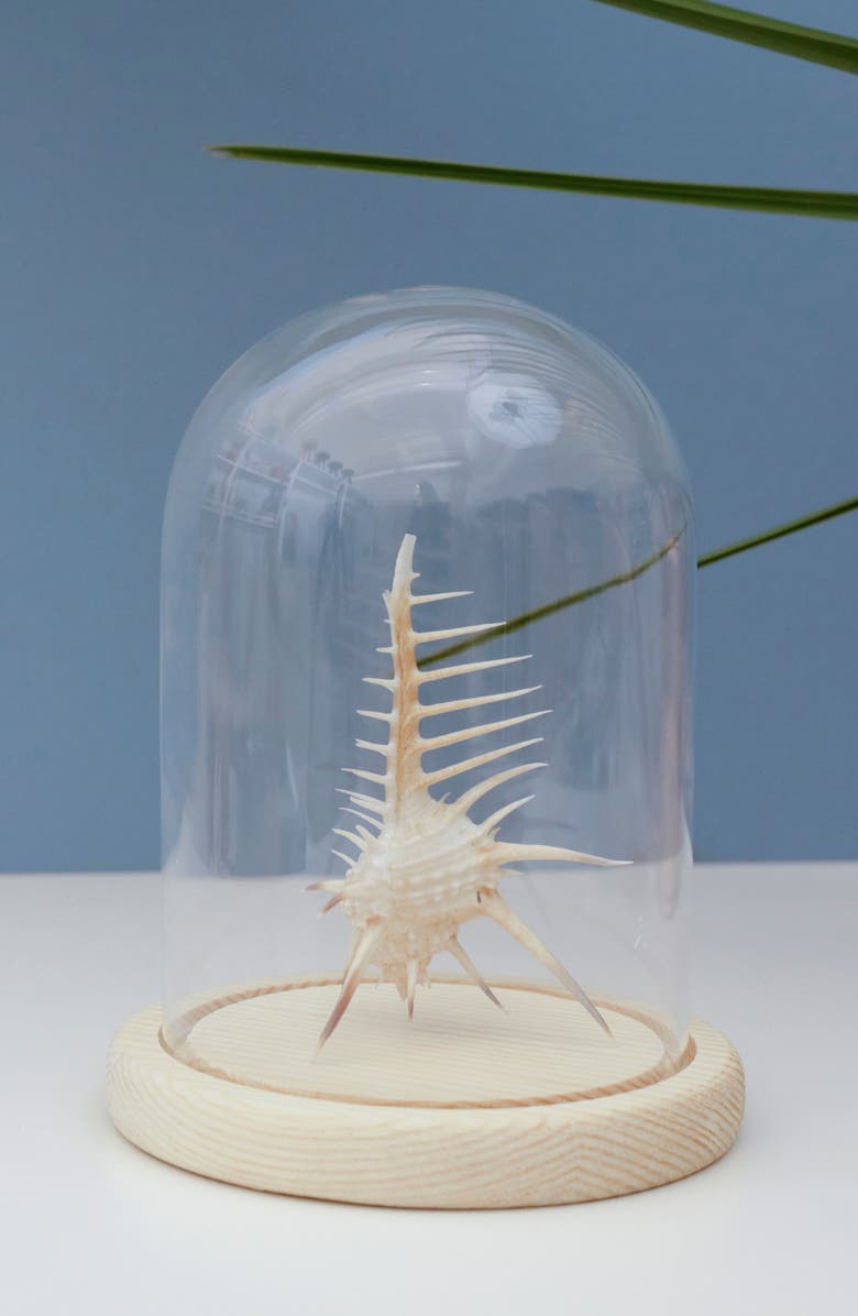 Kikkerland Design Bell Jar, Alternate, color, 