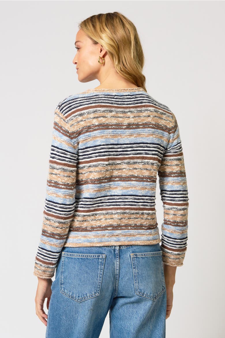 Marlon Textured Stitch Cardigan, Alternate, color, Brown/Blue Multi