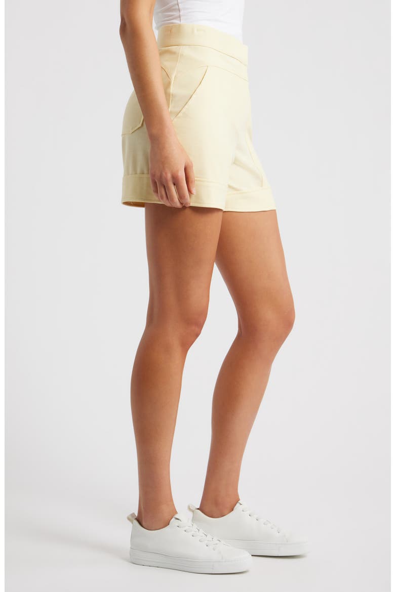 Seamed High Waist A-Line Shorts, Alternate, color, LEMON LUSH