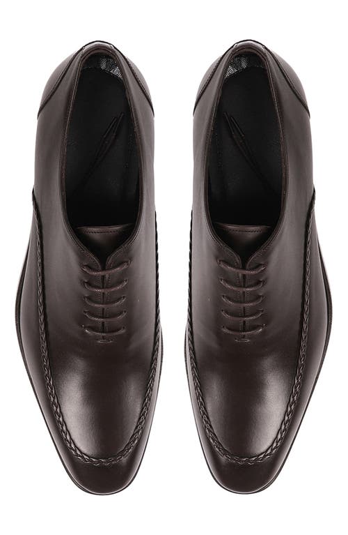 Vellapais Frisco Braided Oxford In Dark Brown