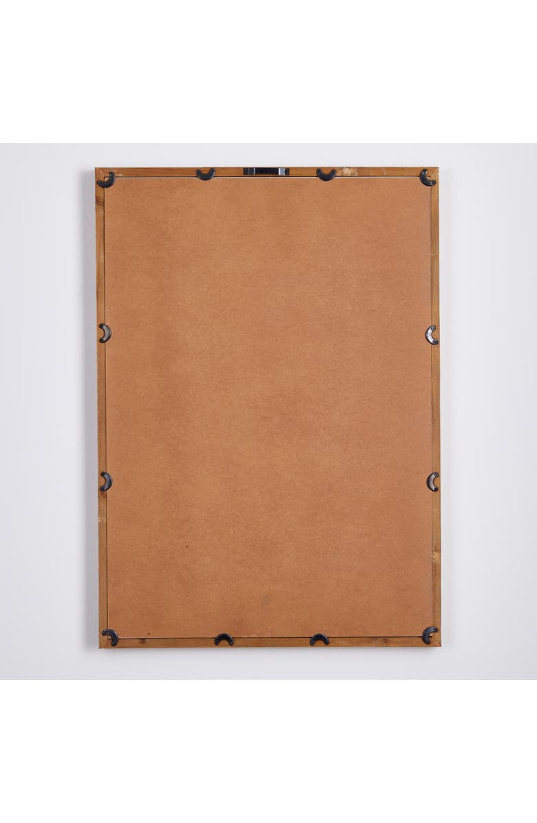 Napa Home & Garden Mountain Botanical Prints Set of 4, Alternate, color, 