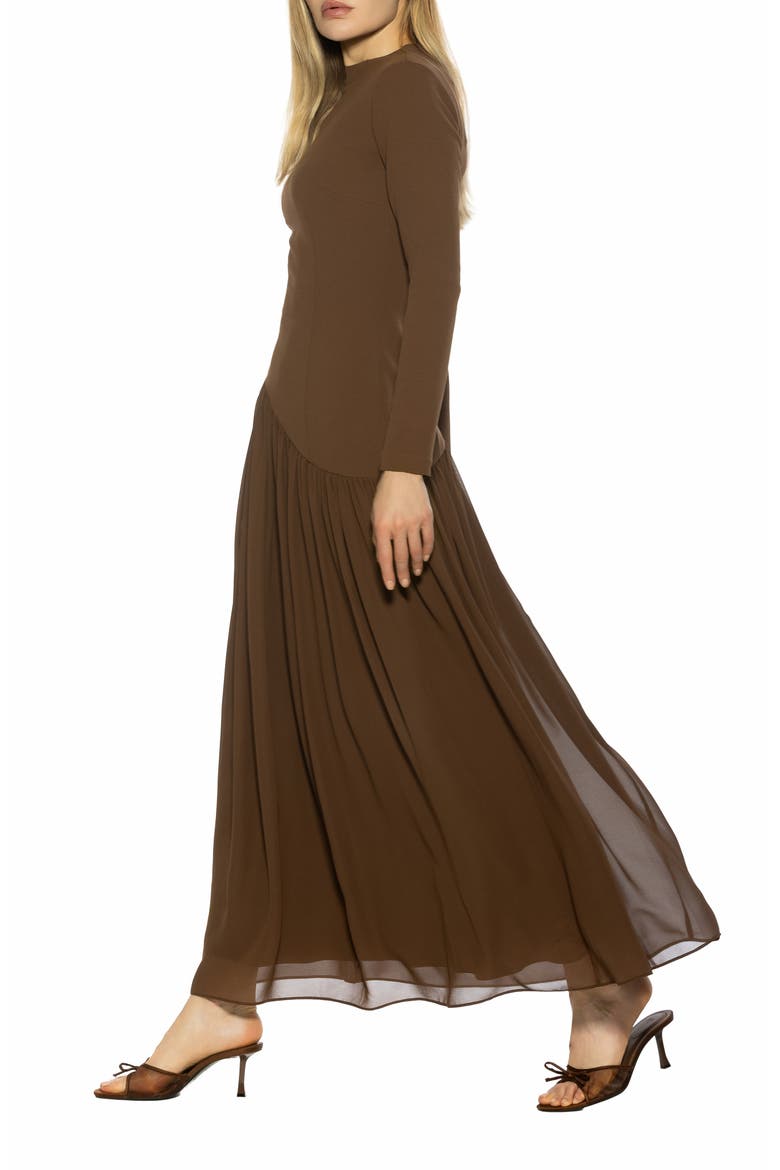 Dakota Long Sleeve Gown, Alternate, color, BROWN