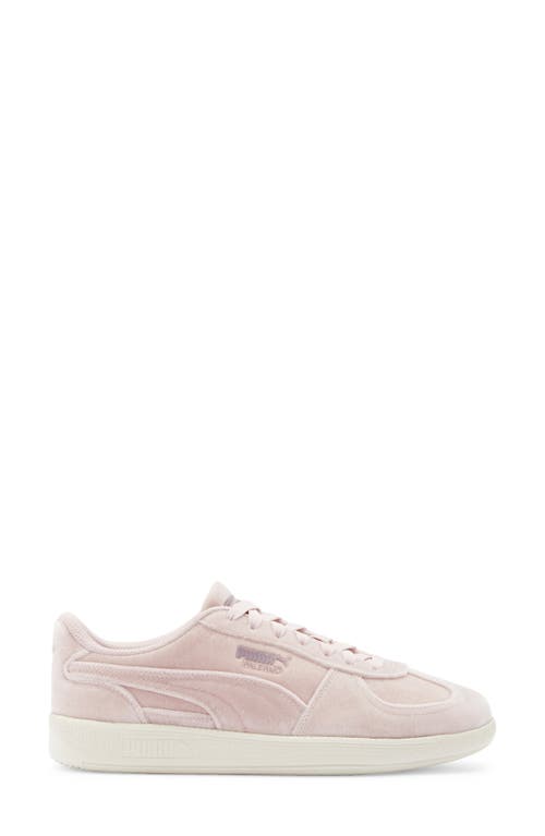 Puma Palermo Velvet Dreams Sneaker In Pink