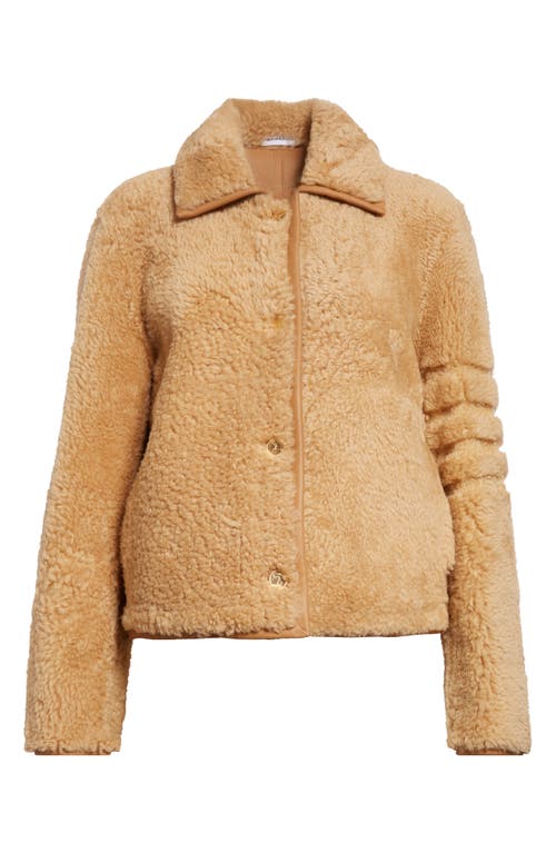 Thom Browne Button-up Shearling Jacket In Camel