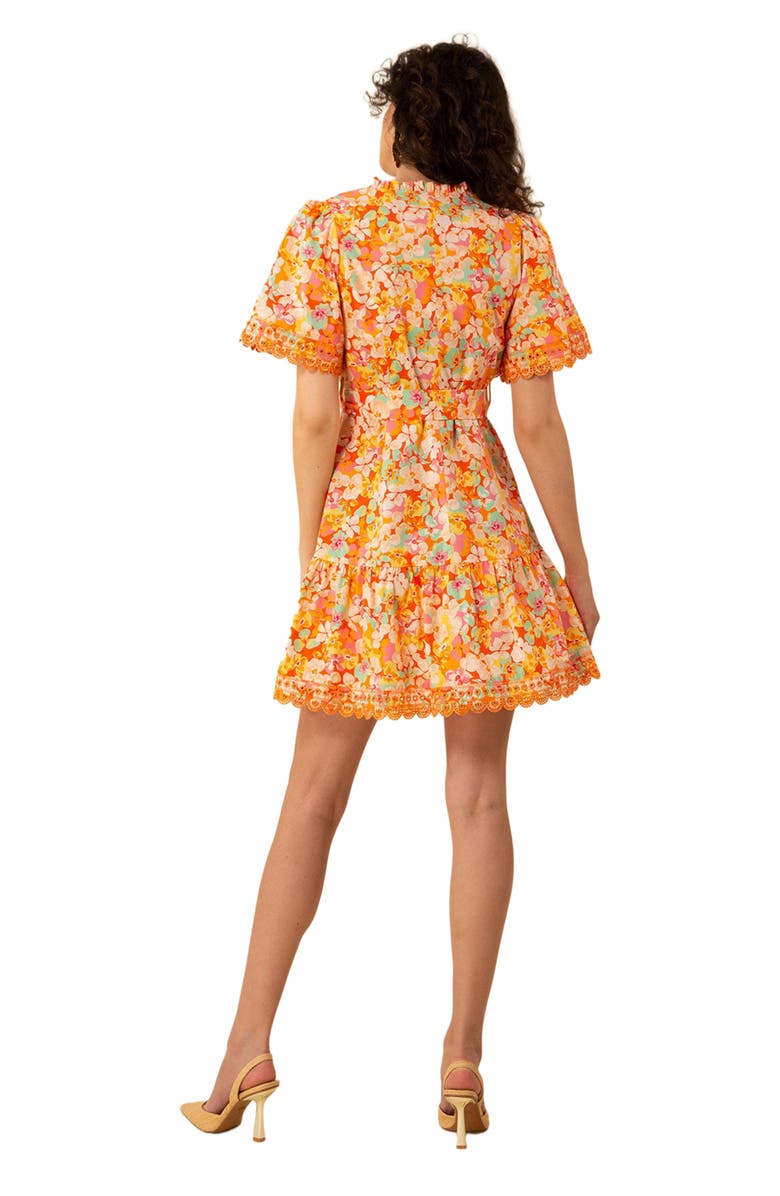 Hale Bob Mariana Poplin Dress, Alternate, color, 