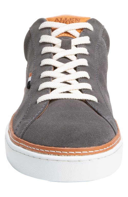 Allen Edmonds Alpha Sneaker In Magnet