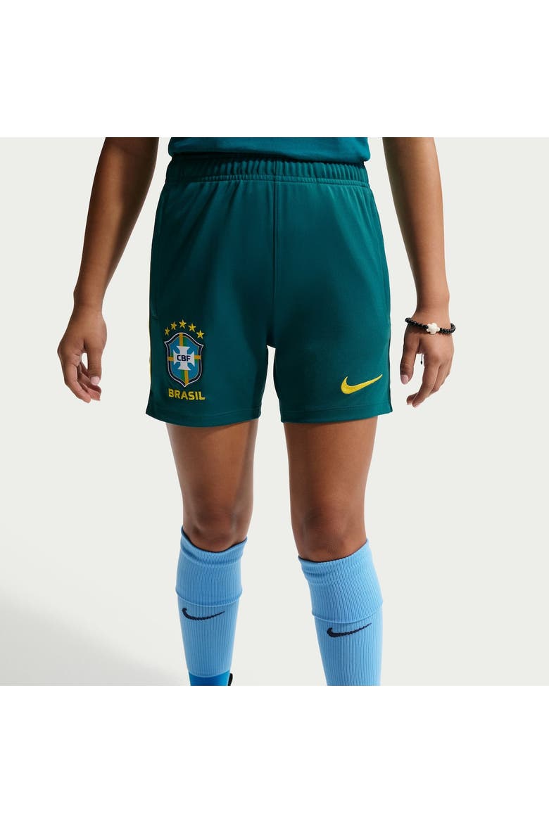 Youth Nike Teal Brazil National Team 2026 Academy Pro Dri-FIT Shorts, Main, color, Teal