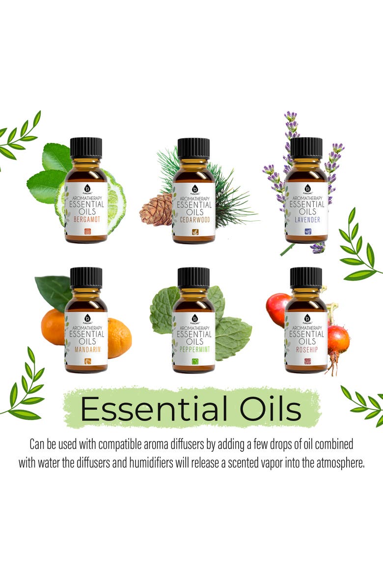 PURSONIC Aromatherapy Essential Oils 14-Pack Gift Set, Alternate, color, Muticolor