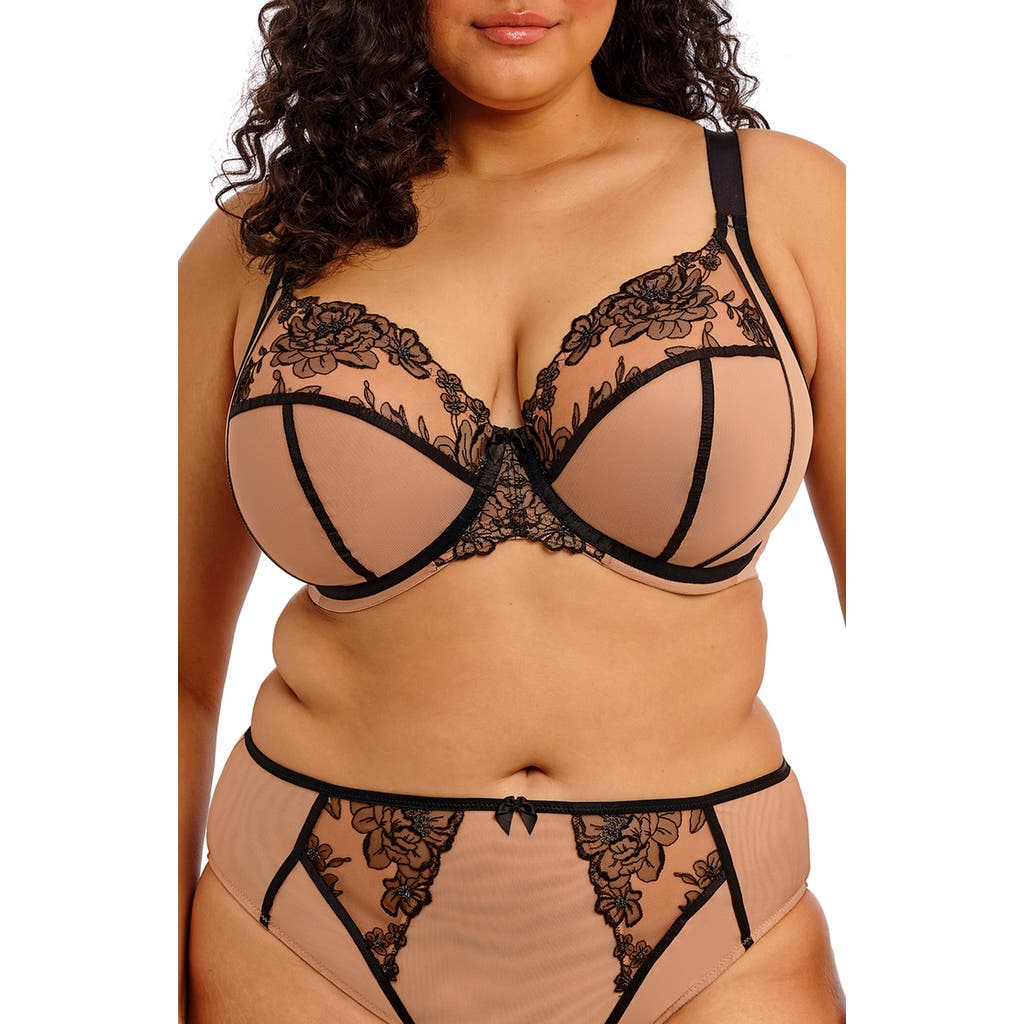 Elomi Teagan Full Figure Underwire Plunge Bra In Brown